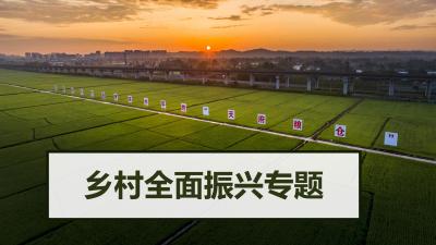 封面图片_08.jpg